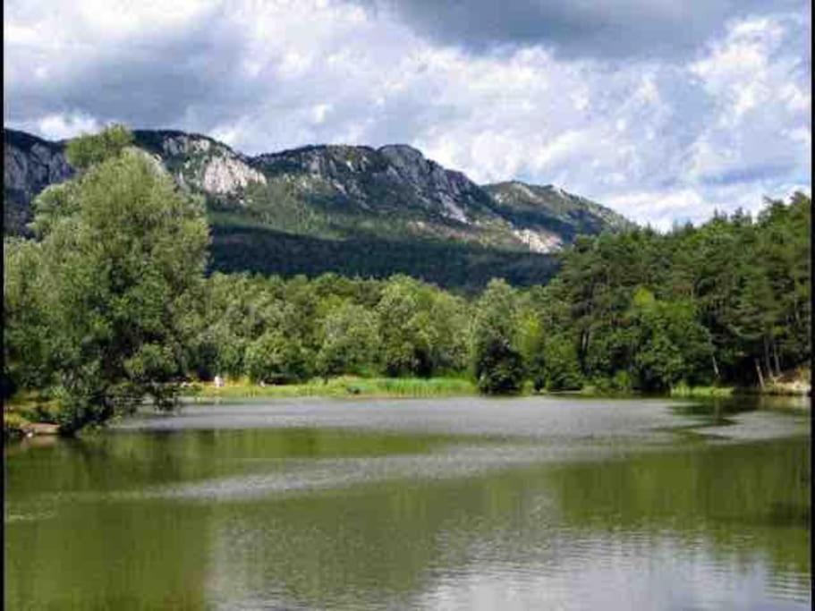 Greolieres: Superbe Studio Avec Vue Montagne Bagian luar foto